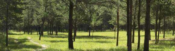 Naturist Legacy Park ... for Manitoba nudists